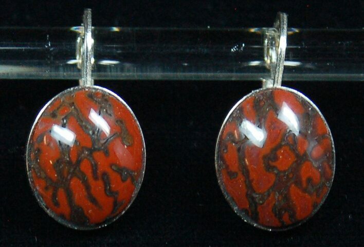 Dark Red, Polished Dinosaur Bone (Gembone) Post Earrings #54097